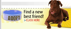 Find a new best friend! Adopt a Pet